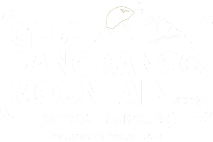 logo-white