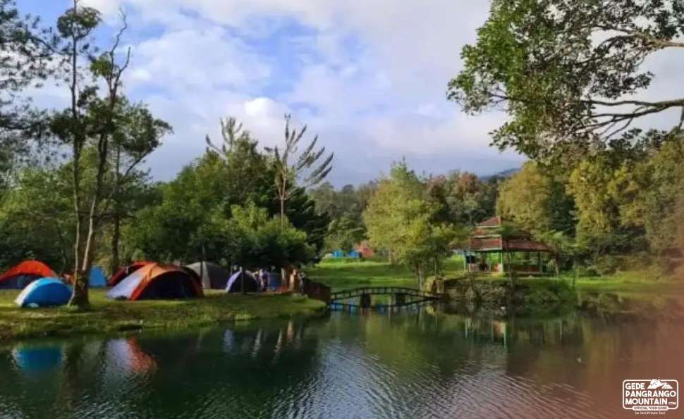 Mandalawangi Valley The Heart of Mount Gede Pangrango’s Beauty
