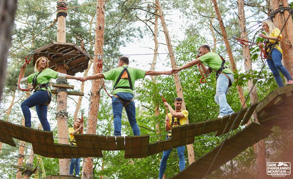 Outdoor Team Building Activities in Gunung Gede Pangrango National Park