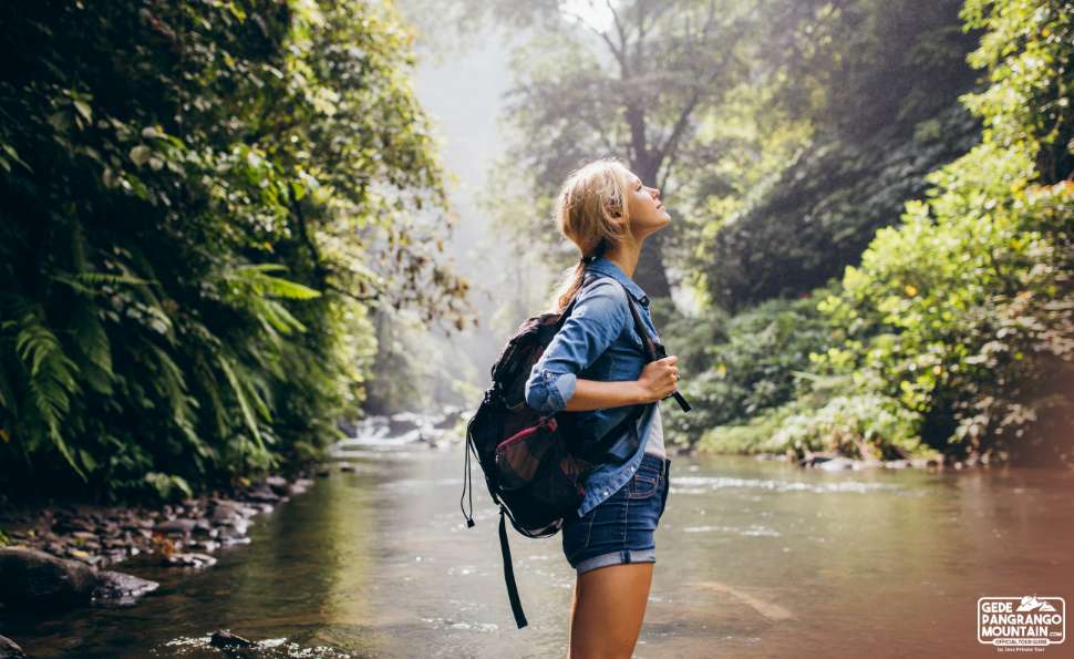 Mount Gede Interpretive Trails You’ll Never Forget